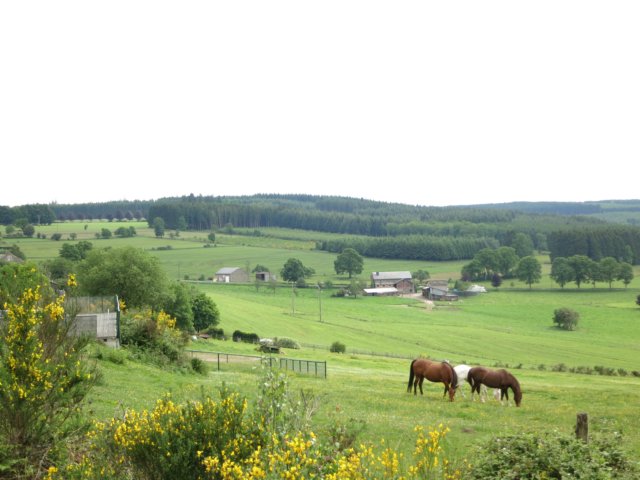 HWK Ardennes 2014 010.jpg